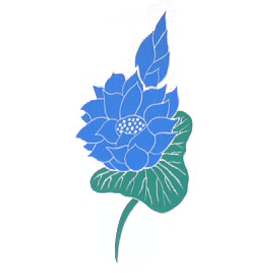 Le Lotus Bleu · Photos 5